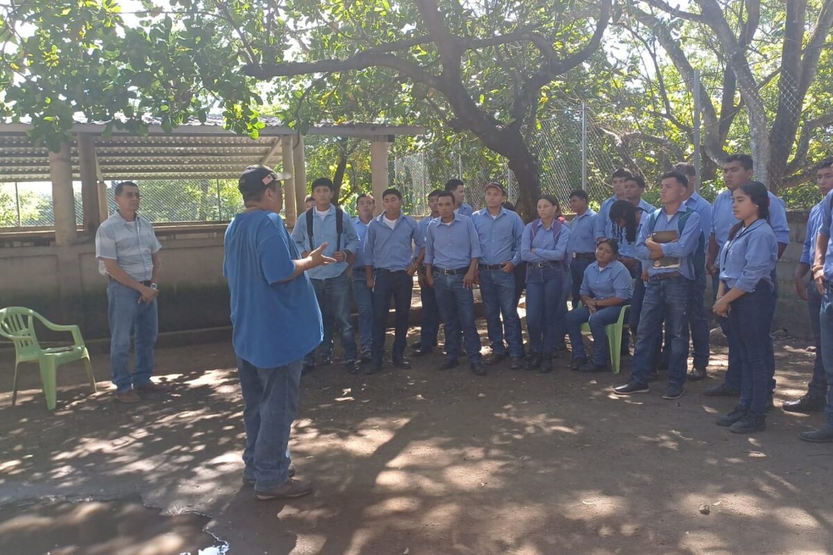 Jovenes del Instituto El Triunfo relizan gira educativa en granja porcina.