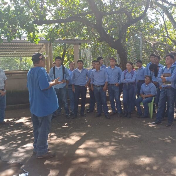 Jovenes del Instituto El Triunfo relizan gira educativa en granja porcina.